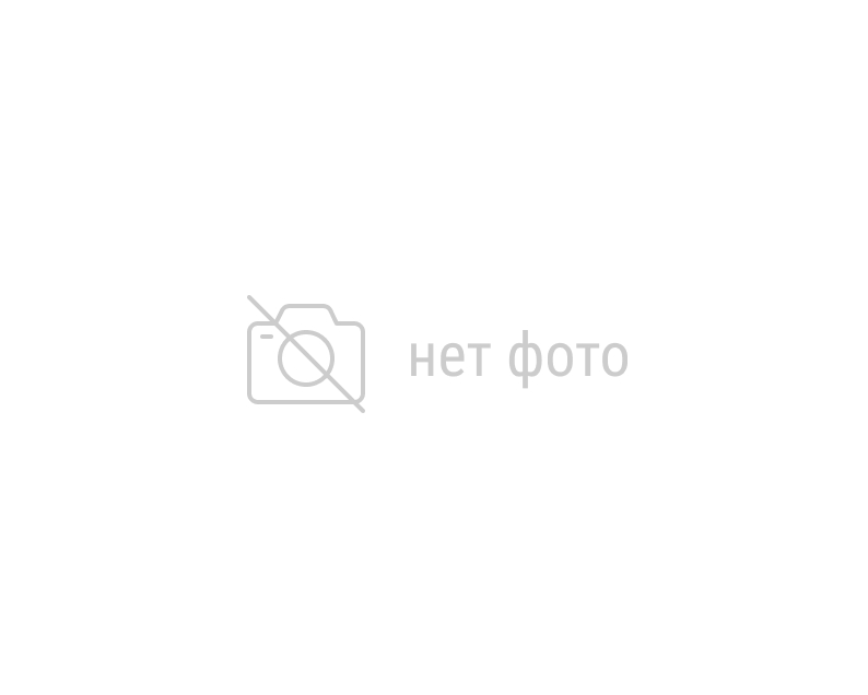 Брезентовая штора 450гр/м2 200*520 см, огнеупорный брезент с люверсами для гаража и ворот, (артикул 2990)